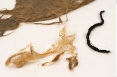 Foto von Textil (NHMW-PRAE-126294)